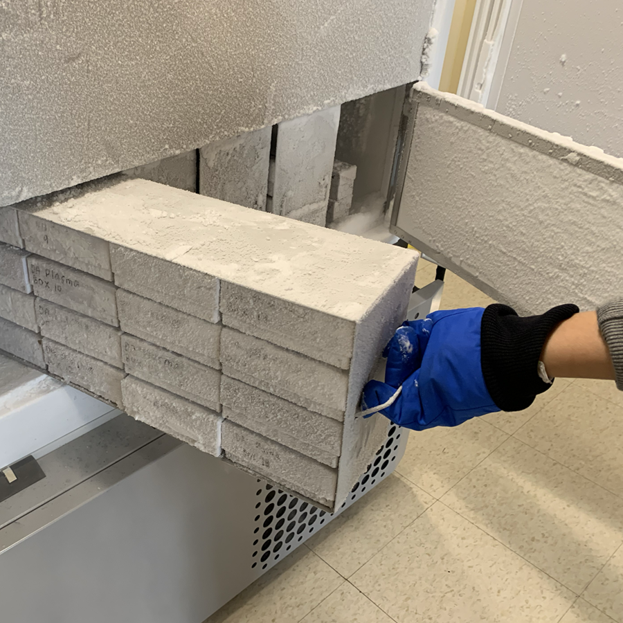 A gloved hand removes samples from a freezer in a laboratory