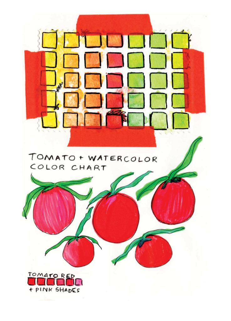 Squares in various shades of tomato (red, orange, yellow, green and varying gradients in between) and illustration of ripe red tomatoes